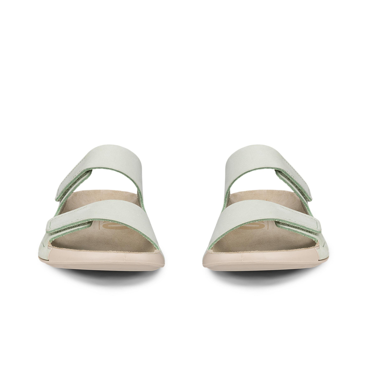 Шлепанцы ECCO COZMO W 206823/02579