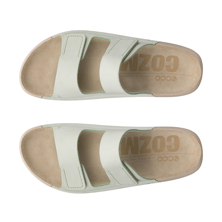 Шлепанцы ECCO COZMO W 206823/02579