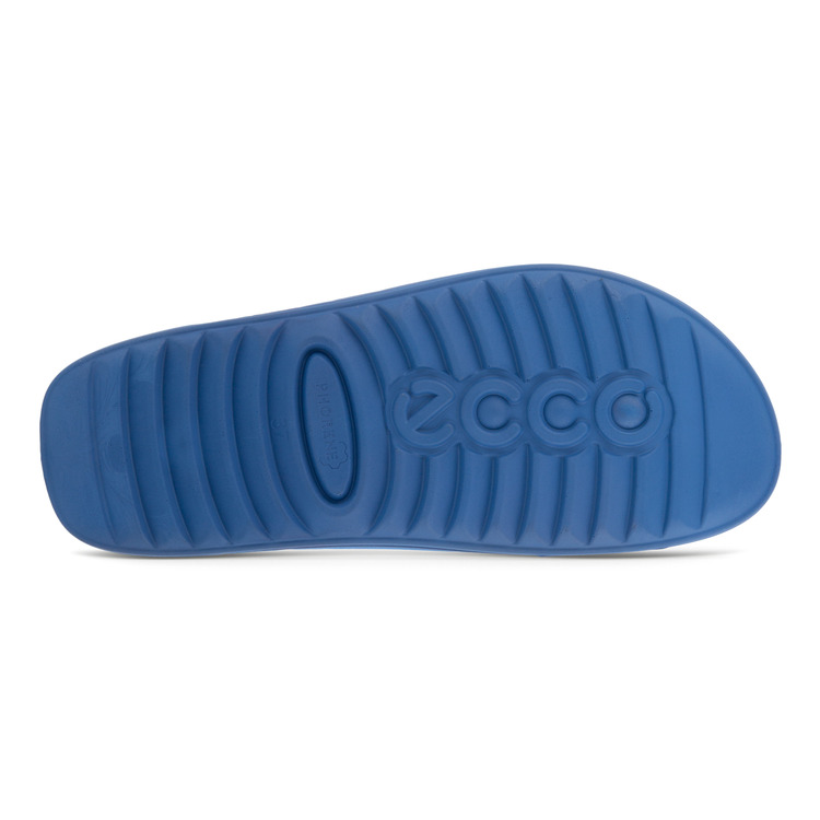 Шлепанцы ECCO COZMO W 206823/02663 Шлепанцы ECCO COZMO W 206823/02663