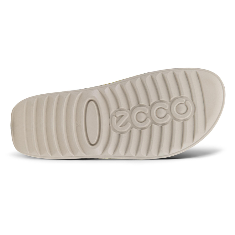 Шлепанцы ECCO COZMO W 206893/60755