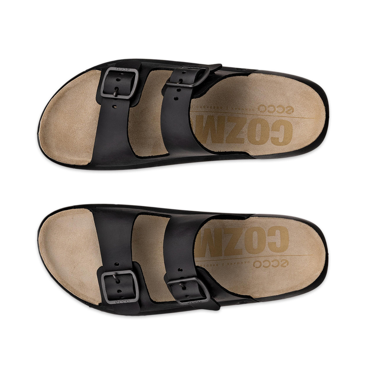 Шлепанцы ECCO COZMO W 206913/02001