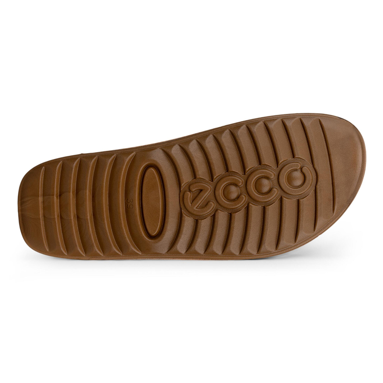 Шлепанцы ECCO COZMO W 206913/05034
