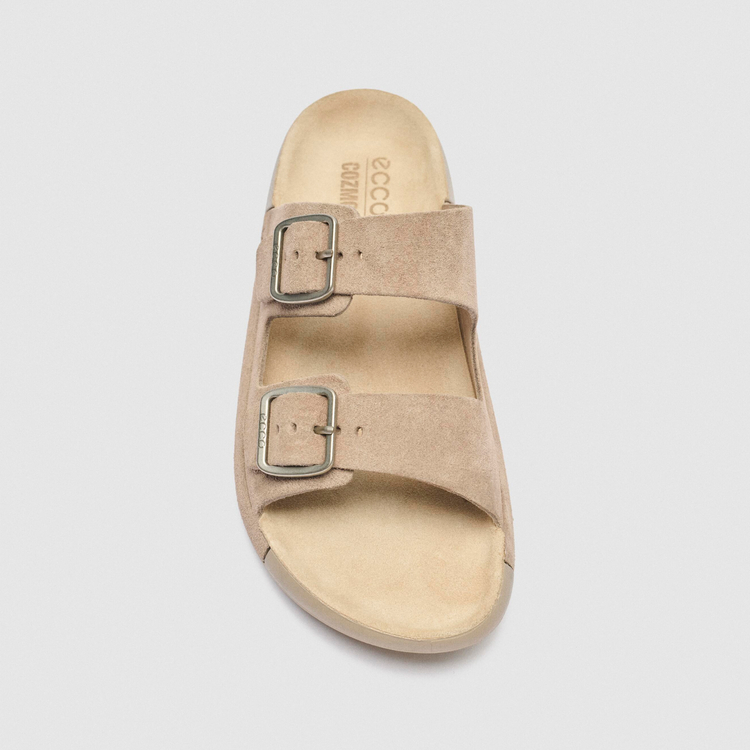 Шлепанцы ECCO COZMO W 206913/61510