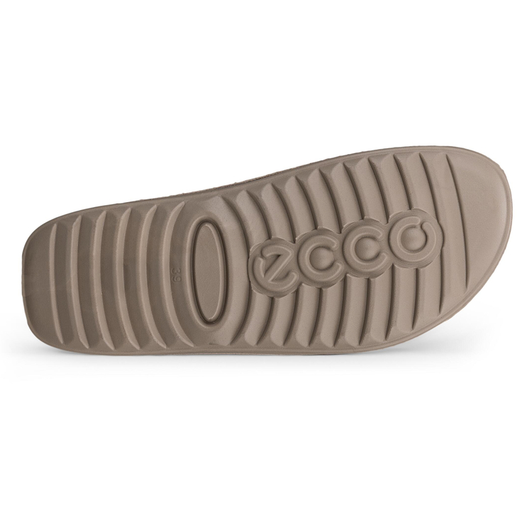 Шлепанцы ECCO COZMO W 206913/61510