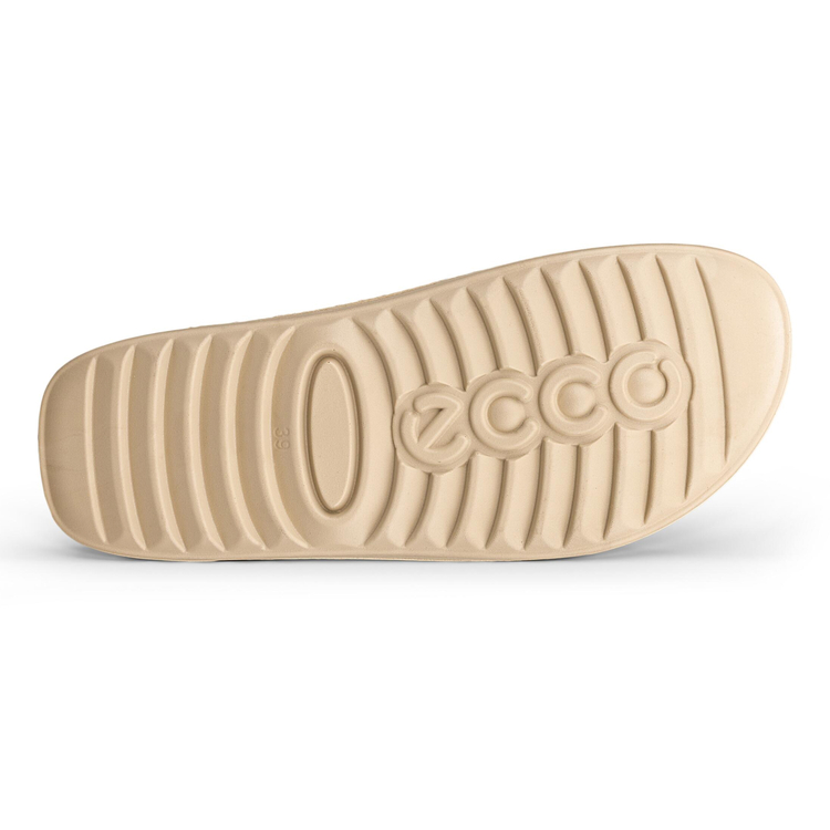 Шлепанцы ECCO COZMO W 206923/05004