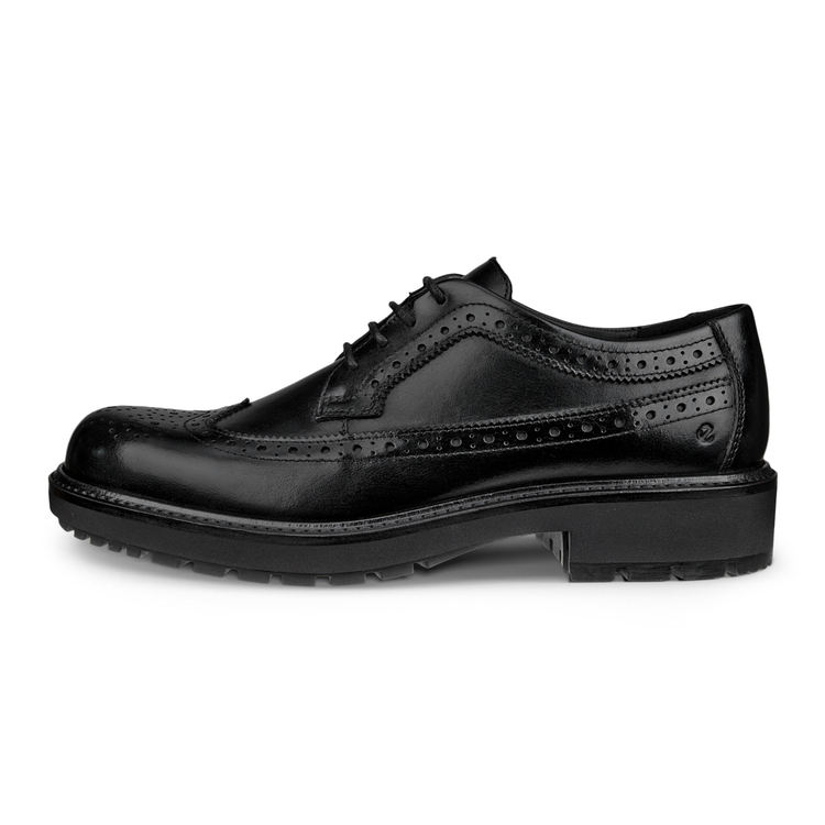 Туфли ECCO METROPOLE OSLO W 232893/01001