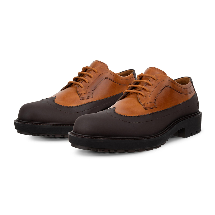 Полуботинки ECCO METROPOLE OSLO W 232913/58857