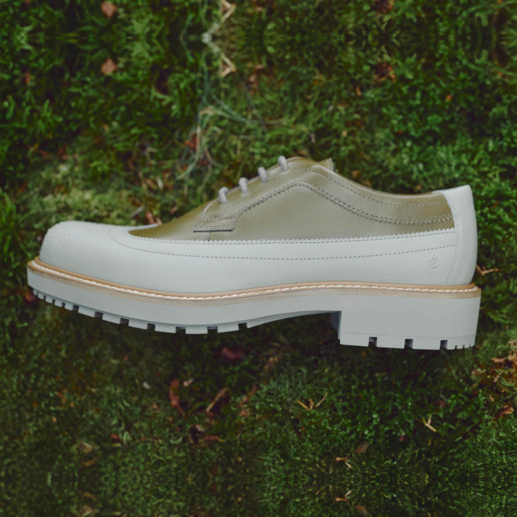 Полуботинки ECCO METROPOLE OSLO W 232913/61511