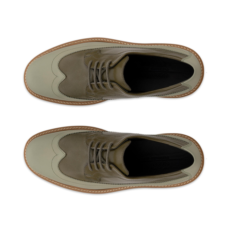 Полуботинки ECCO METROPOLE OSLO W 232913/61511