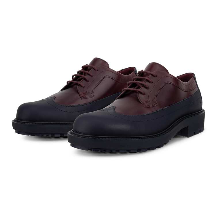 Полуботинки ECCO METROPOLE OSLO W 232913/61719