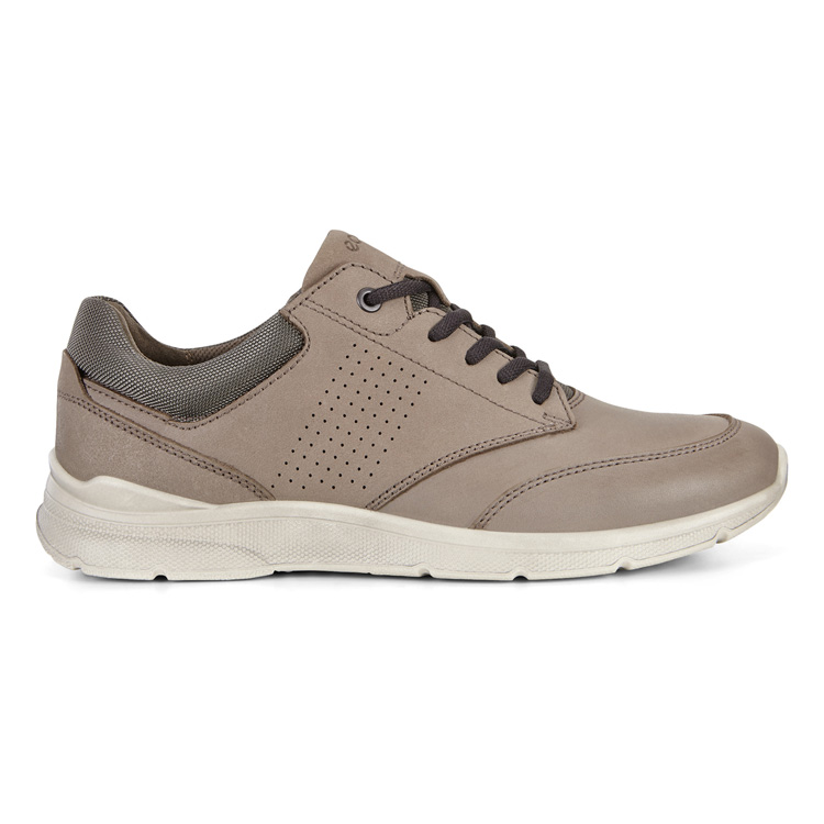 Кроссовки ECCO IRVING 511624/02559