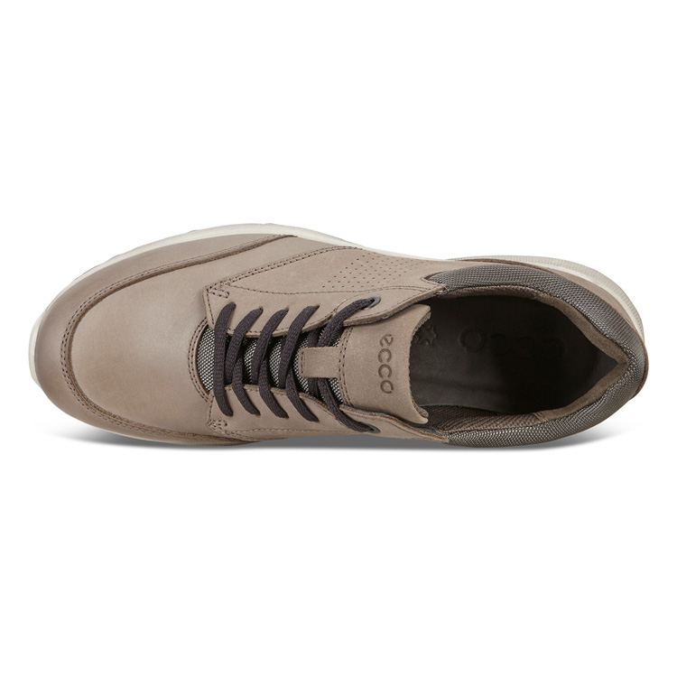 Кроссовки ECCO IRVING 511624/02559