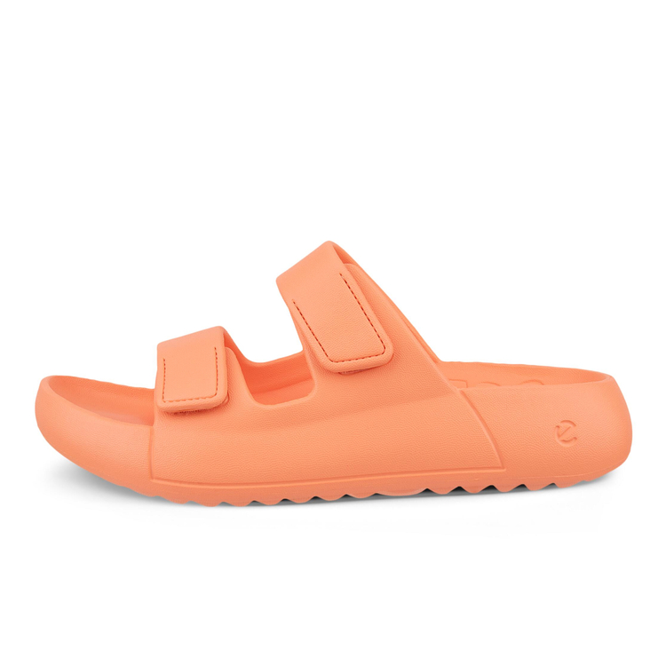 Шлепанцы ECCO COZMO E 524104/57349