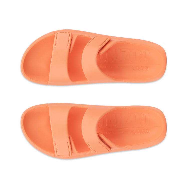 Шлепанцы ECCO COZMO E 524104/57349