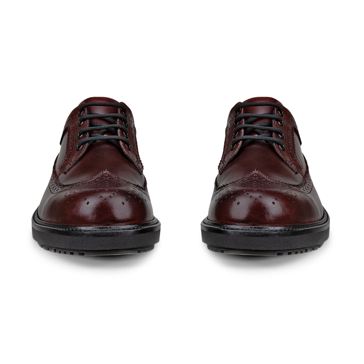 Туфли ECCO METROPOLE OSLO 550214/61442