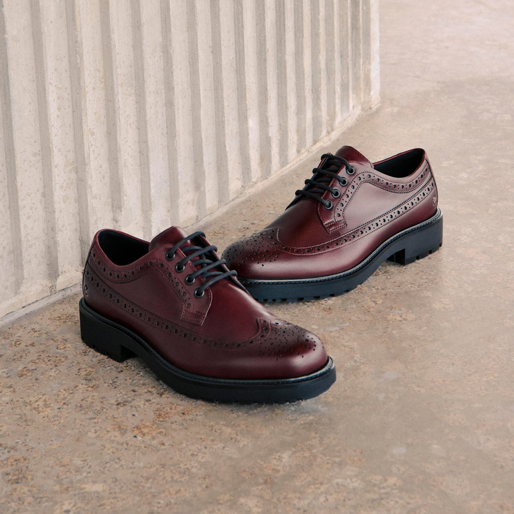 Туфли ECCO METROPOLE OSLO 550214/61442