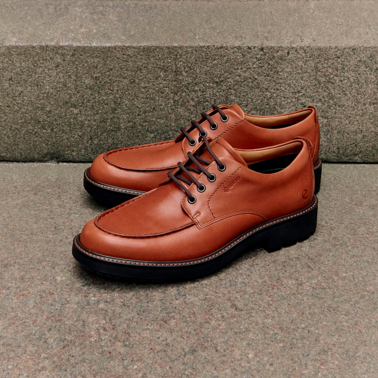 Туфли ECCO METROPOLE OSLO 550324/01053