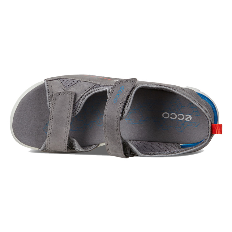 Сандалии ECCO BIOM RAFT 700663/57486