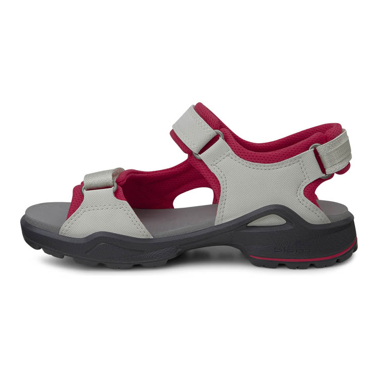 Ecco 2025 biom sandals