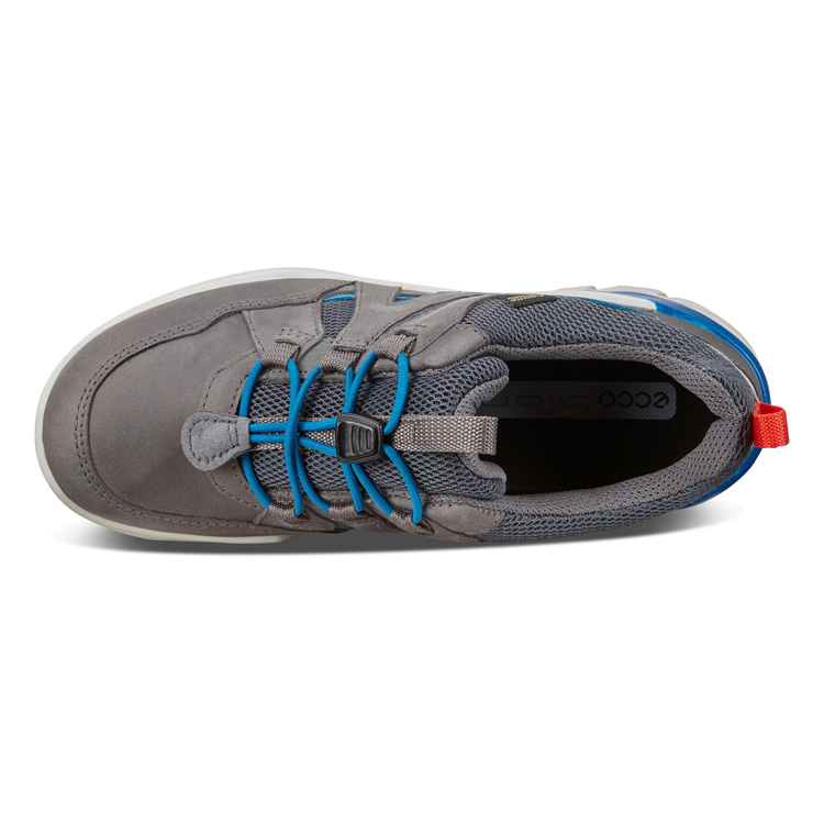 Кроссовки ECCO BIOM VOJAGE 706543/51244 Кроссовки ECCO BIOM VOJAGE 706543/51244