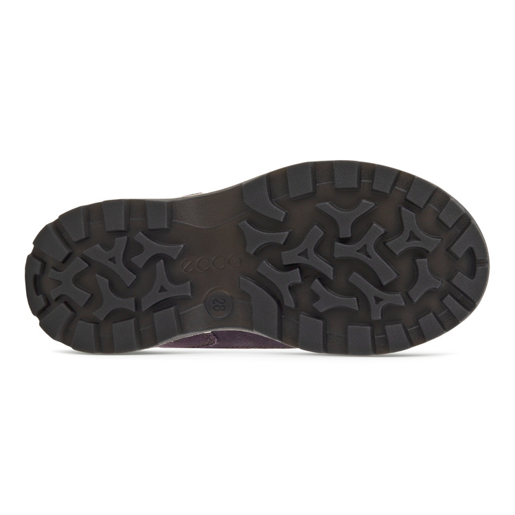Ботинки ECCO SNOW MOUNTAIN 710262/51663 Ботинки ECCO SNOW MOUNTAIN 710262/51663