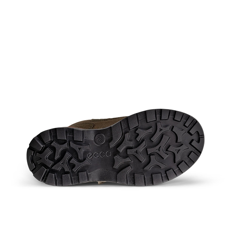 Ботинки ECCO SNOW MOUNTAIN 710322/55966