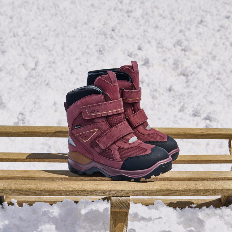 Ботинки ECCO SNOW MOUNTAIN 710322/61312