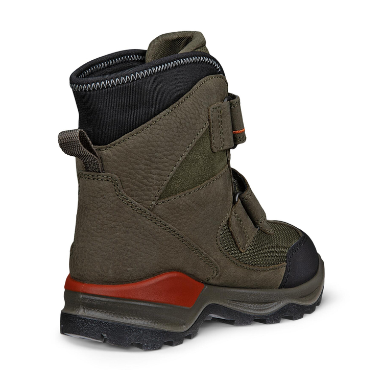 Ботинки ECCO SNOW MOUNTAIN 710323/55966