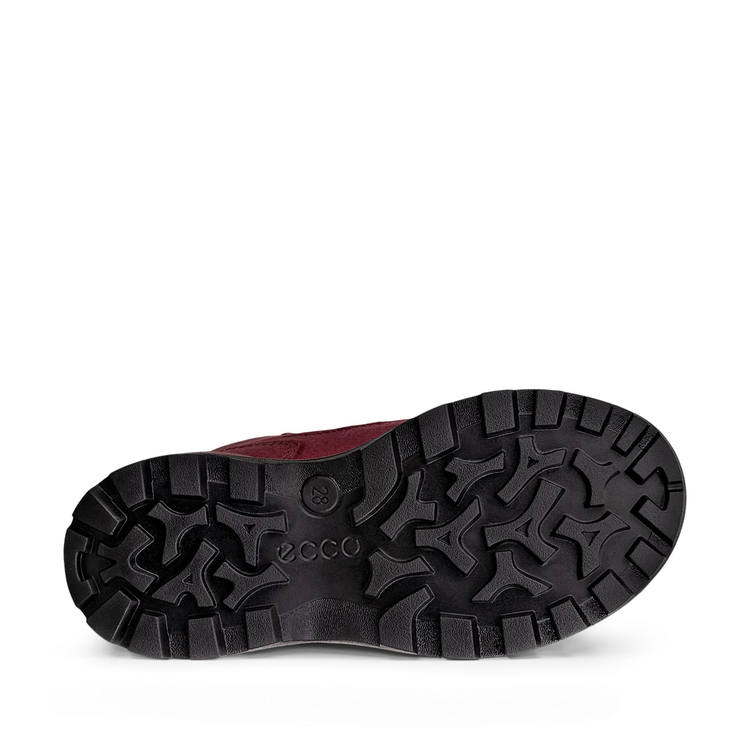 Ботинки ECCO SNOW MOUNTAIN 710323/61312