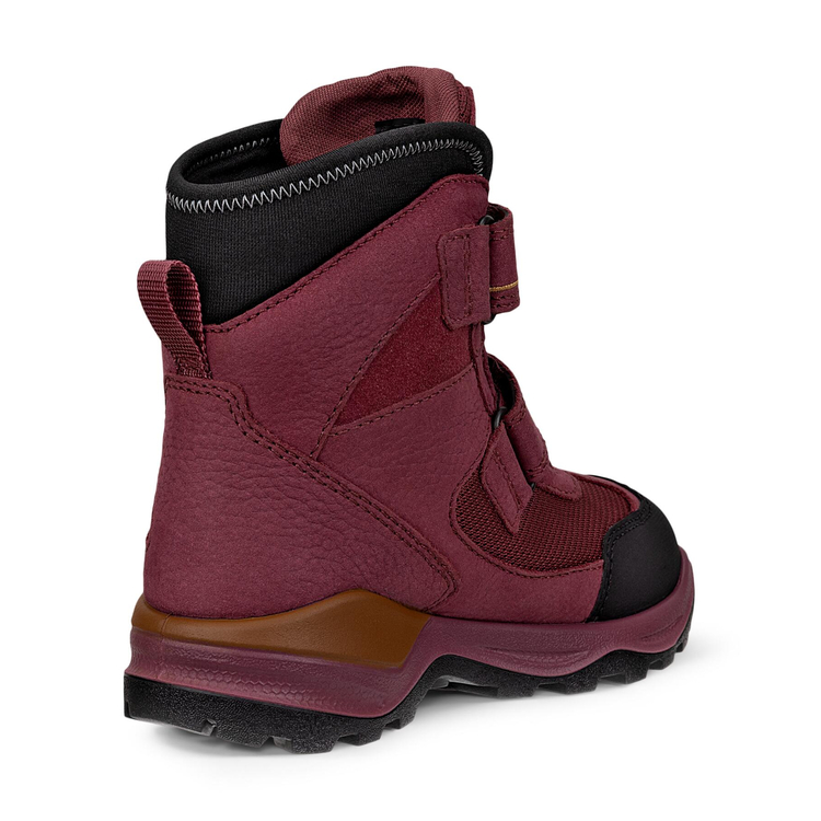 Ботинки ECCO SNOW MOUNTAIN 710323/61312 Ботинки ECCO SNOW MOUNTAIN 710323/61312