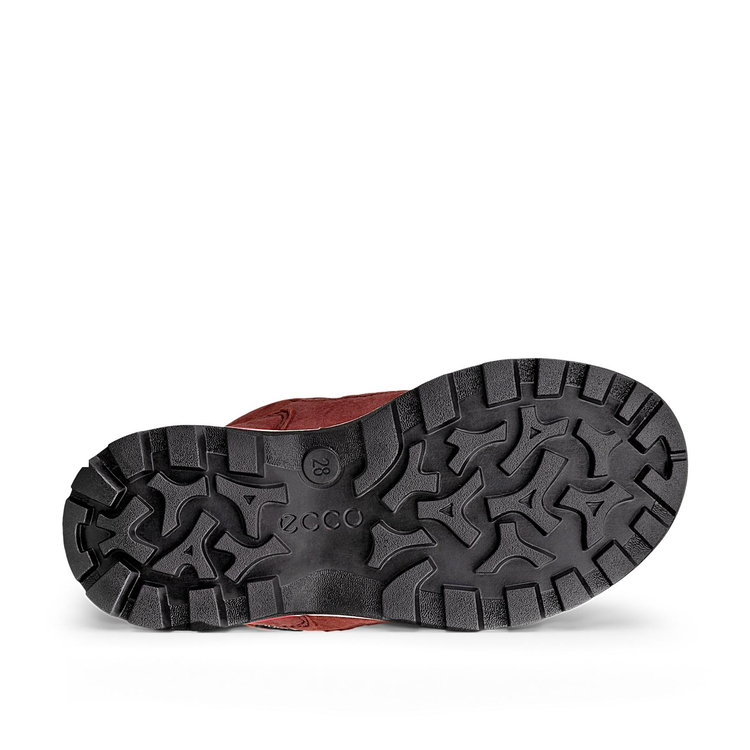 Ботинки ECCO SNOW MOUNTAIN 710332/61049