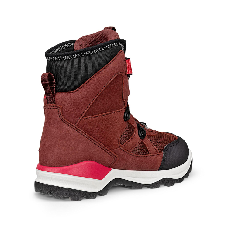 Ботинки ECCO SNOW MOUNTAIN 710332/61049