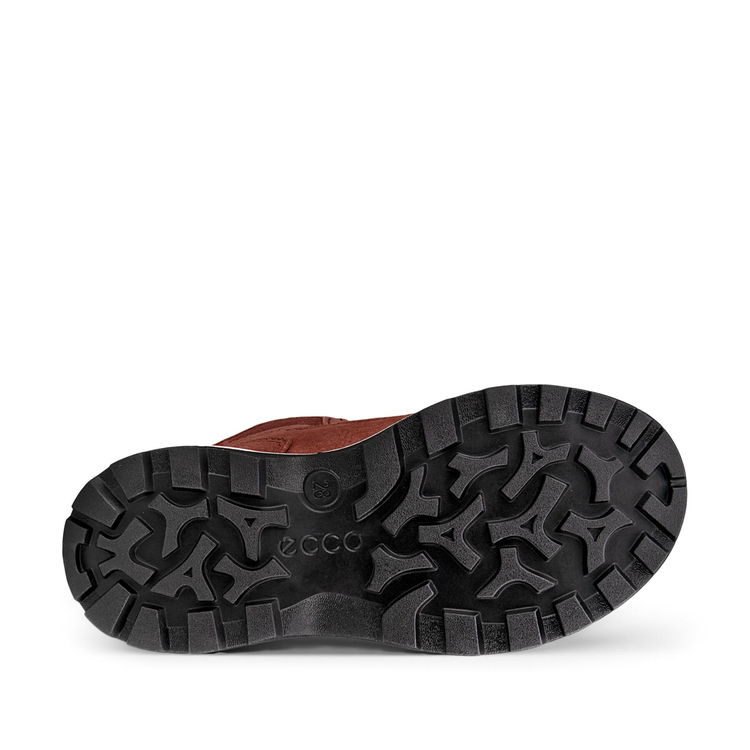 Ботинки ECCO SNOW MOUNTAIN 710333/61049