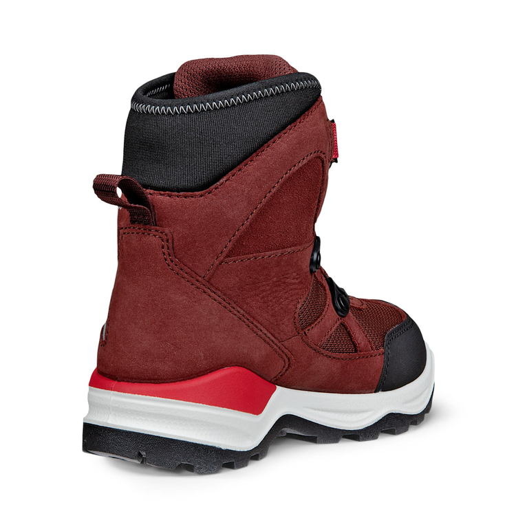 Ботинки ECCO SNOW MOUNTAIN 710333/61049