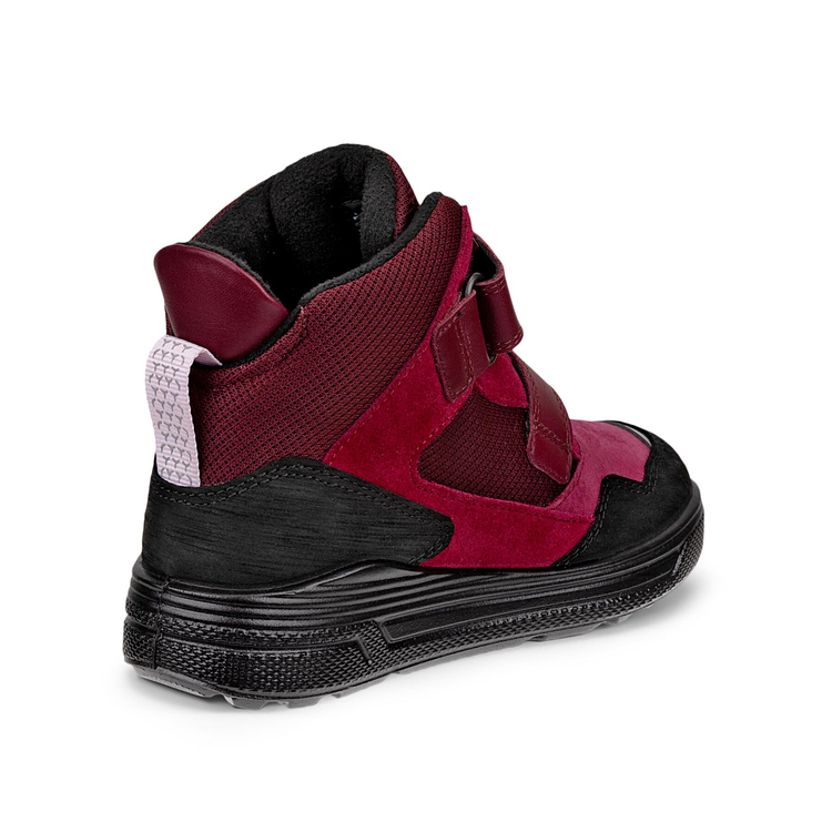 Ботинки ECCO URBAN SNOWBOARDER 722403/61354