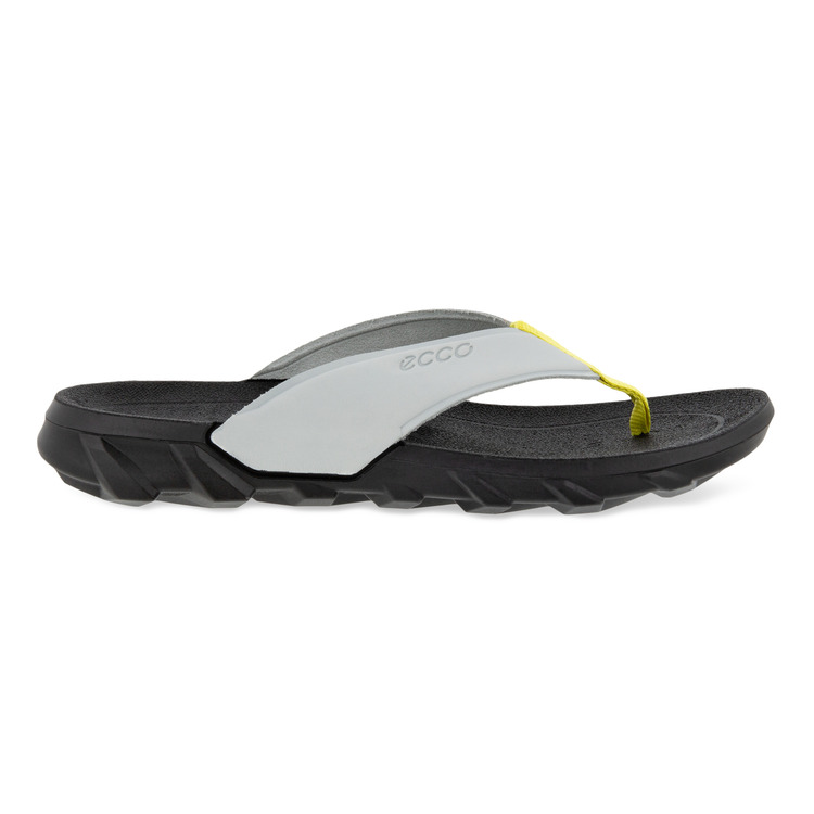 Шлепанцы ECCO MX FLIPSIDER 801804/01379