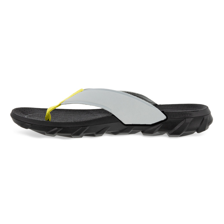 Шлепанцы ECCO MX FLIPSIDER 801804/01379