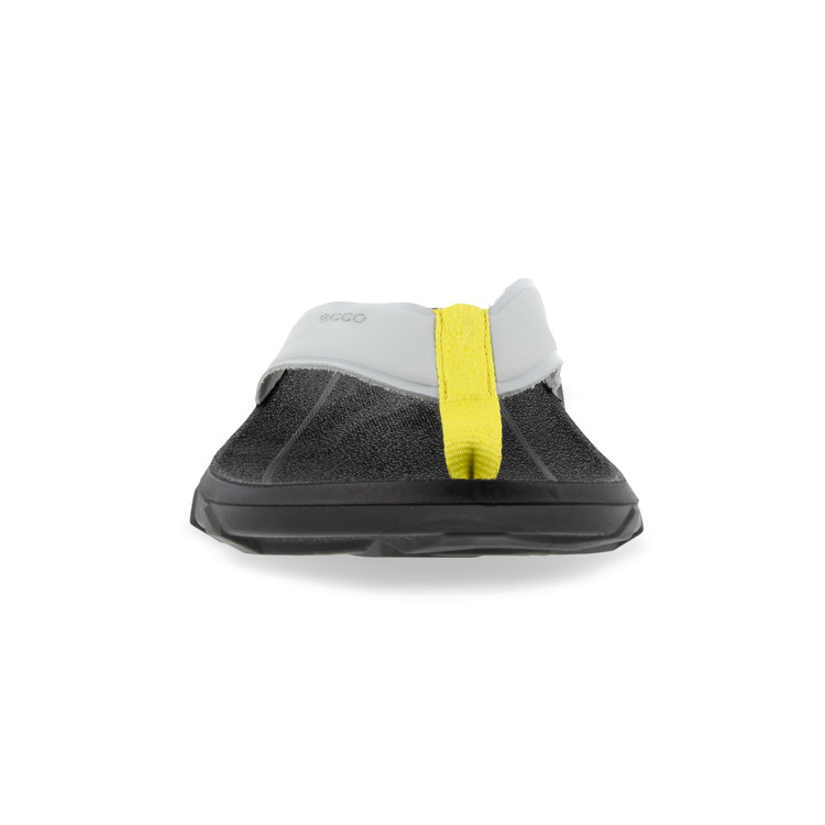 Шлепанцы ECCO MX FLIPSIDER 801804/01379 Шлепанцы ECCO MX FLIPSIDER 801804/01379