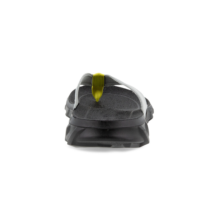 Шлепанцы ECCO MX FLIPSIDER 801804/01379 Шлепанцы ECCO MX FLIPSIDER 801804/01379