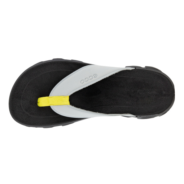 Шлепанцы ECCO MX FLIPSIDER 801804/01379 Шлепанцы ECCO MX FLIPSIDER 801804/01379