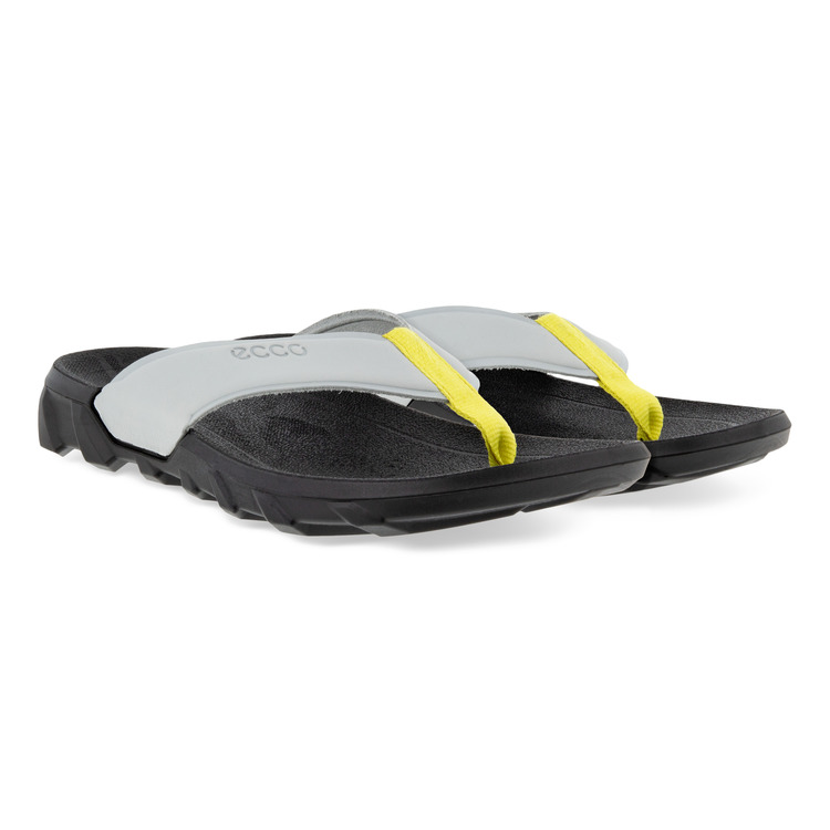 Шлепанцы ECCO MX FLIPSIDER 801804/01379 Шлепанцы ECCO MX FLIPSIDER 801804/01379