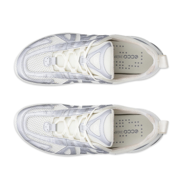 Кроссовки ECCO BIOM LITE W 802433/51366