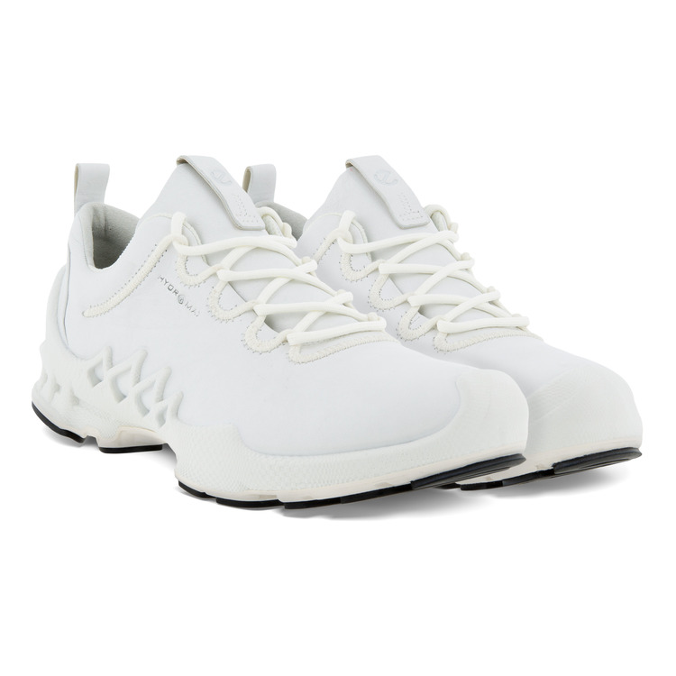 Кроссовки ECCO BIOM AEX W 802833/01007 Кроссовки ECCO BIOM AEX W 802833/01007