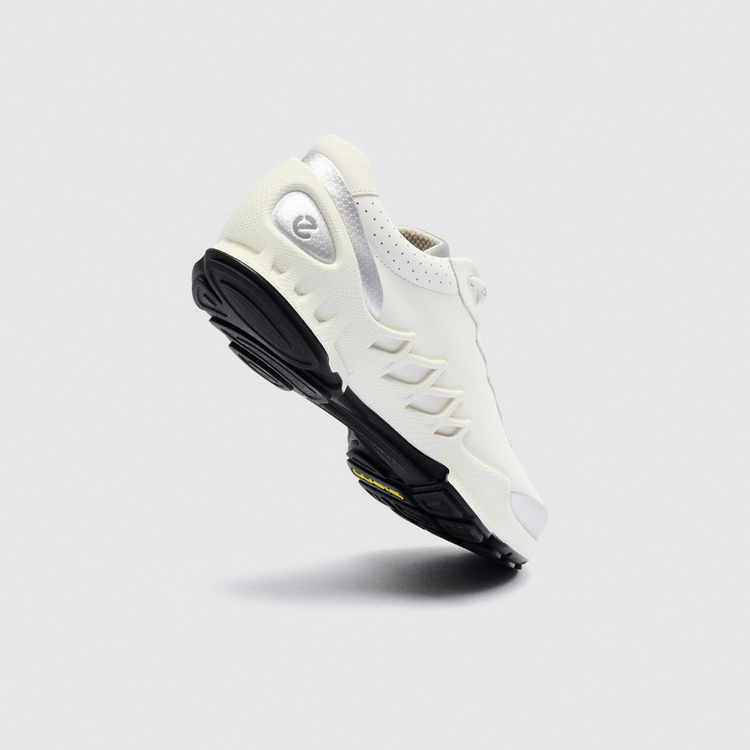 Кроссовки ECCO BIOM AEX W 802873/51366