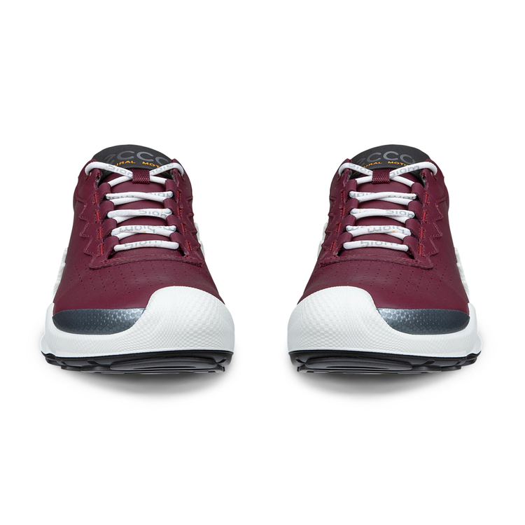 Кроссовки ECCO BIOM AEX W 802873/61798