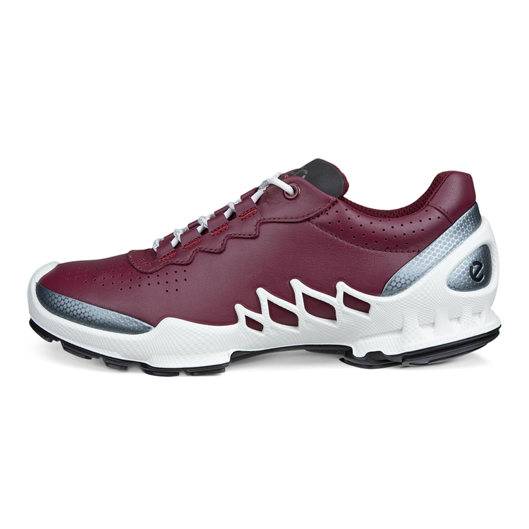 Кроссовки ECCO BIOM AEX W 802873/61798