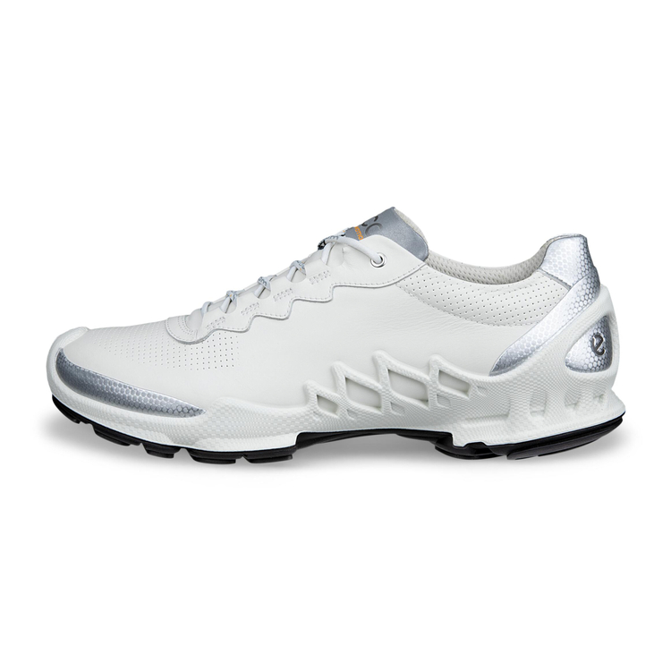 Кроссовки ECCO BIOM AEX M 802874/51366