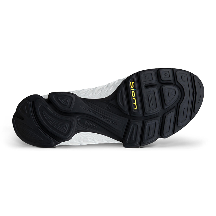 Кроссовки ECCO BIOM AEX M 802874/51366