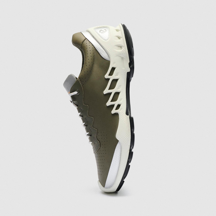 Кроссовки ECCO BIOM AEX M 802874/61658