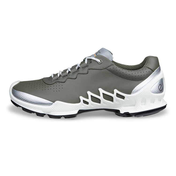 Кроссовки ECCO BIOM AEX M 802874/61658